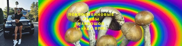 метадон Мегион