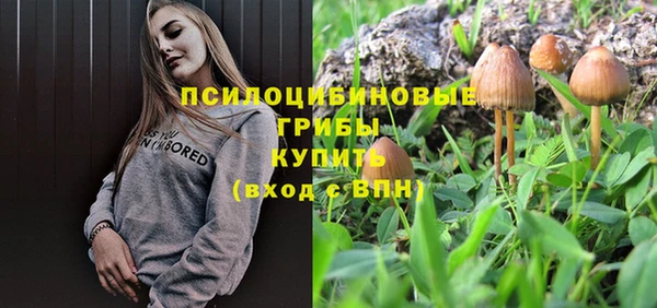 экстази Медвежьегорск