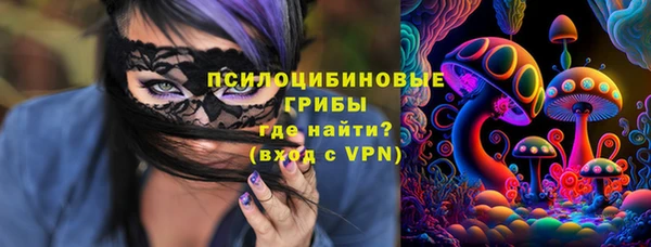 MDMA Медногорск