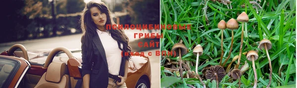 экстази Медвежьегорск