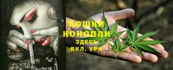 экстази Медвежьегорск