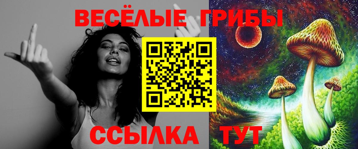 Галлюциногенные грибы MAGIC MUSHROOMS  Вход с VPN  Тавда  наркошоп  Галлюциногенные грибы Cubensis 