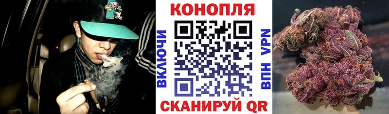 omg зеркало  Тавда  Бошки марихуана конопля  где найти наркотики 